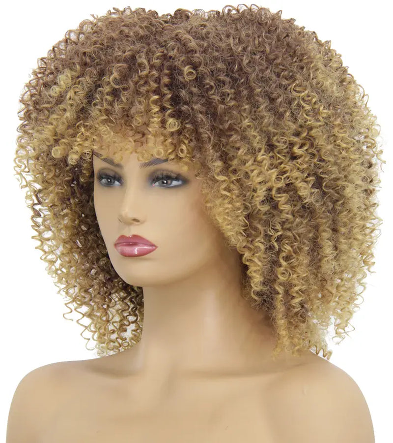 Short Afro Curly Wigs for Black Women, Ombre Blonde Kinky Curly Fluffy Hair Wig with Bangs, Cute Fashion Natural Looking Heat Resistant Full Synthetic Wig for Daily Party A053